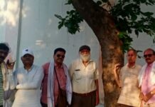 वृक्षों को बांधा रक्षा सूत्र.