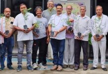 सागर : संस्थायें लगायेंगी 12000 पौधे.