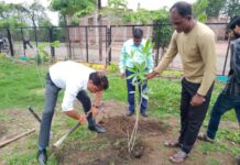 वृक्षारोपण के लिए पौधे उपलब्ध करायेगा निगम.
