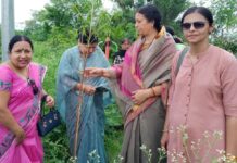 सागर : वृक्ष हमारे जीवन के पर्याय हैं -महापौर