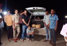 सागर : बड़े स्तर पर गांजा हुआ जब्त