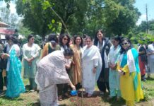 वृक्षारोपण को समर्पित नारी शक्ति