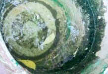 सागर : मलेरिया के लार्वा का सर्वे शुरु