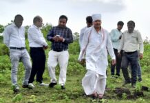 सागर : जल्द बनेगा आयुर्वेद महाविद्यालय
