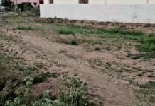 सागर : खाली पड़े प्लाॅट पर वाहन पार्किंग का नवाचार