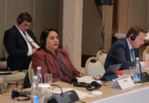 आर्टीफीशियल इंटेलीजेंस घातक -सांसद