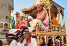 महोत्सव में नजर आया आस्था का जन सैलाब