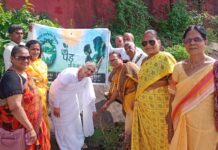 ब्रह्माकुमारीज़ का पौधारोपण अभियान