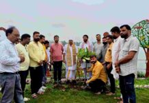 पौधारोपण अभियान का शुभारंभ