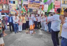 विदेशी सामान की जली होली