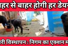 सहयोग करें या कार्रवाई झेलें