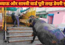 डेयरी संचालकों के लिए अलर्ट